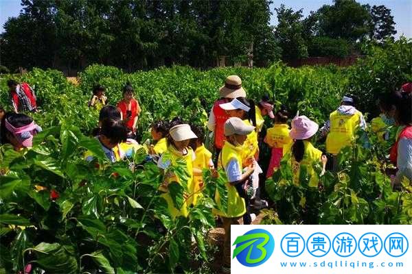 歐洲一曲二曲三曲視頻：精彩音樂之旅