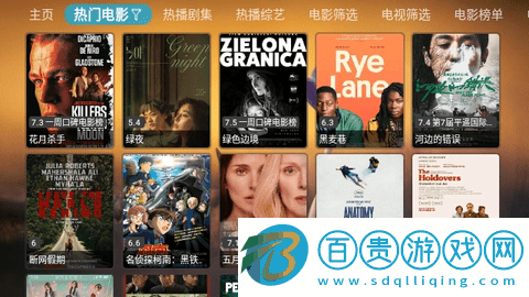 TVBox進恩哥版內(nèi)置接口版