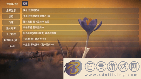 TVBox進恩哥版內(nèi)置接口版