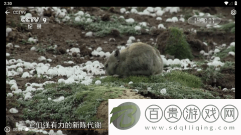 小電視去廣告純凈版