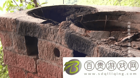 一本TV2024最新版