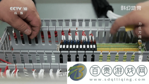 一本TV2024最新版