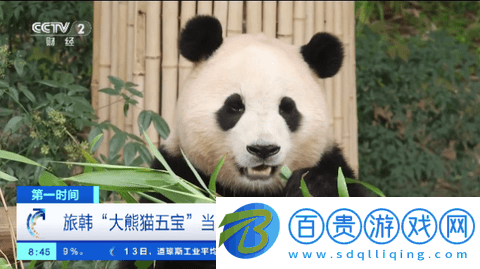 Mtv電視直播電視盒子版