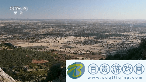 Star直播2024最新版