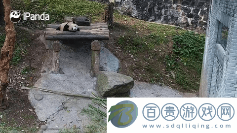 Star直播2024最新版