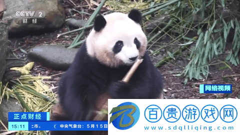 泰山TV電視盒子版