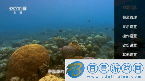 陽陽TV電視直播app