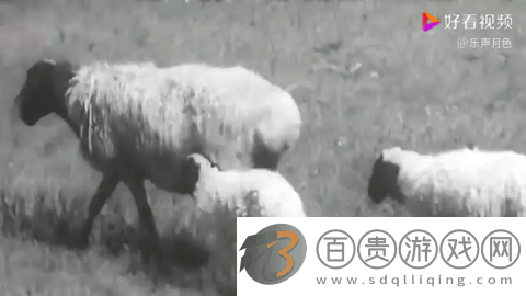 萌兔直播TV電視盒子app