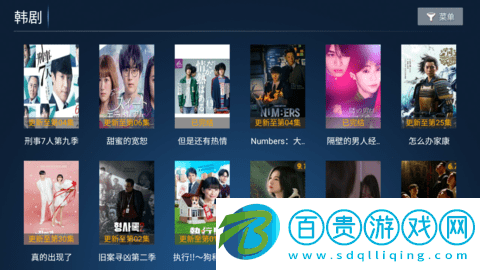 華人視界純凈版