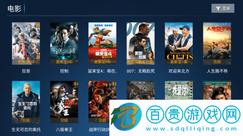 華人視界純凈版