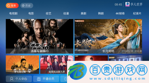 華人視界純凈版