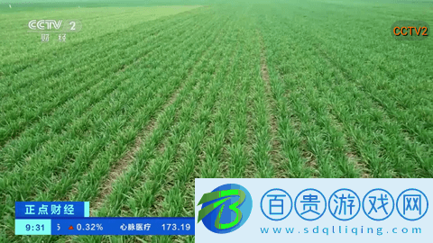 HYHLive電視直播免費版