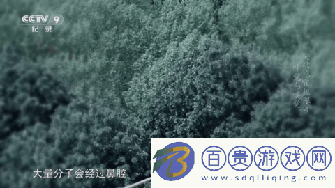 蕓汐影視TV2023最新版