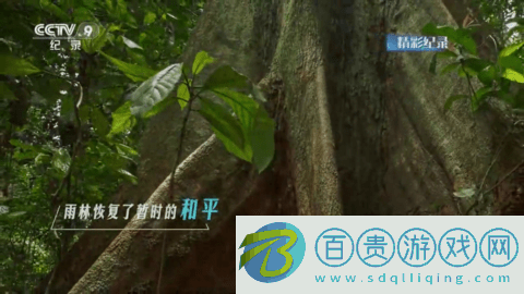 5G云電視去廣告版