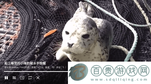 ACAC視頻a站免費版-ACAC彈幕視頻網電視版下載v1.0.2